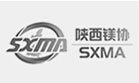 陕西省镁协